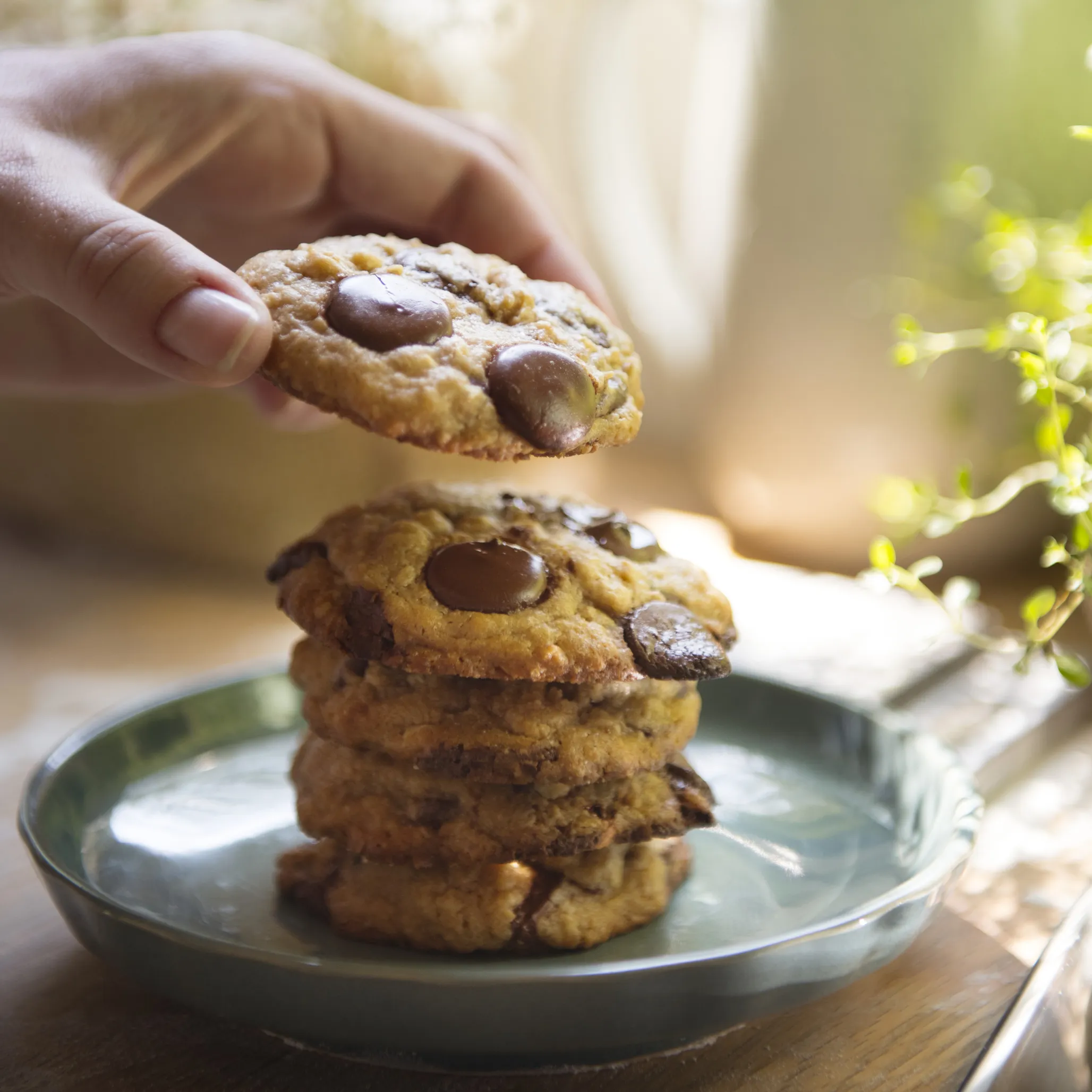 Cookie Artesanal